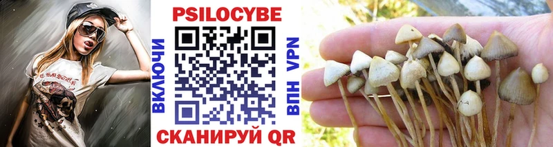 наркошоп  Балтийск  MEGA ТОР  Галлюциногенные грибы MAGIC MUSHROOMS 